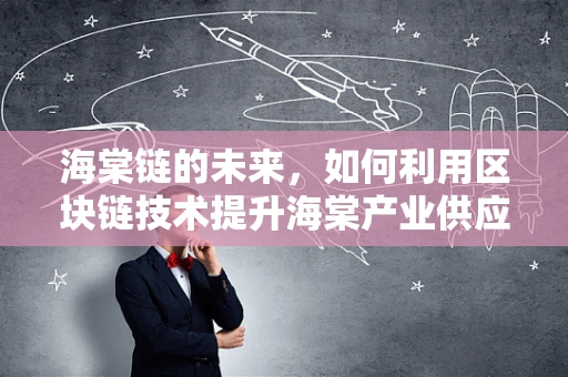 海棠链的未来，如何利用区块链技术提升海棠产业供应链的透明度与效率？