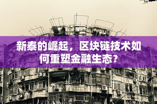 新泰的崛起，区块链技术如何重塑金融生态？