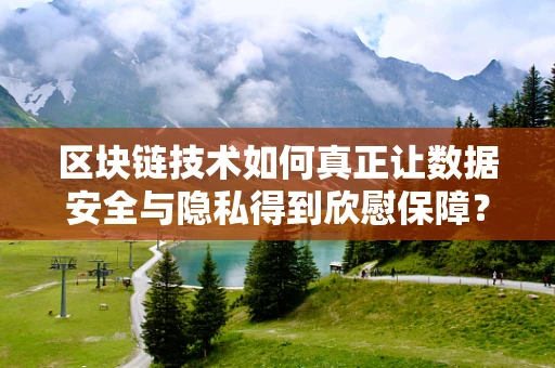 区块链技术如何真正让数据安全与隐私得到欣慰保障？