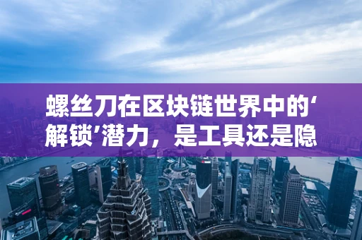螺丝刀在区块链世界中的‘解锁’潜力，是工具还是隐喻？