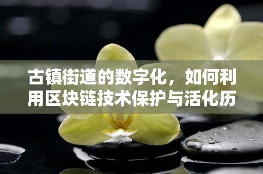 古镇街道的数字化，如何利用区块链技术保护与活化历史风貌？