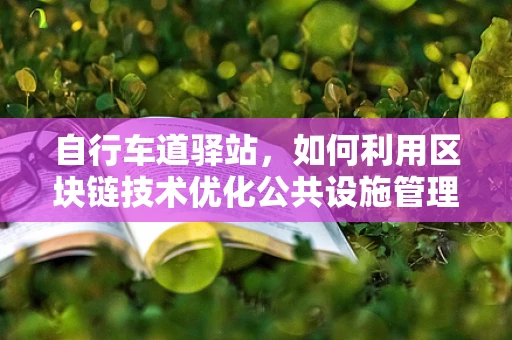 自行车道驿站，如何利用区块链技术优化公共设施管理？