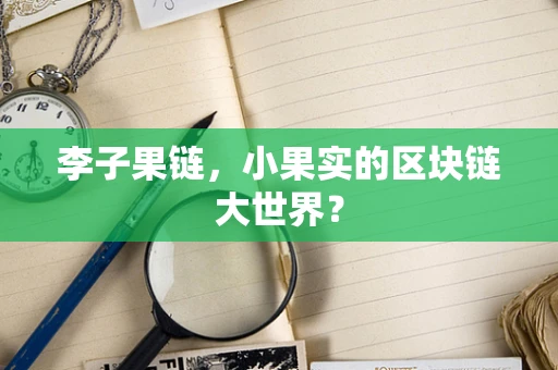 李子果链，小果实的区块链大世界？