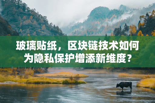玻璃贴纸，区块链技术如何为隐私保护增添新维度？