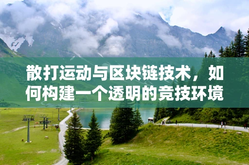 散打运动与区块链技术，如何构建一个透明的竞技环境？