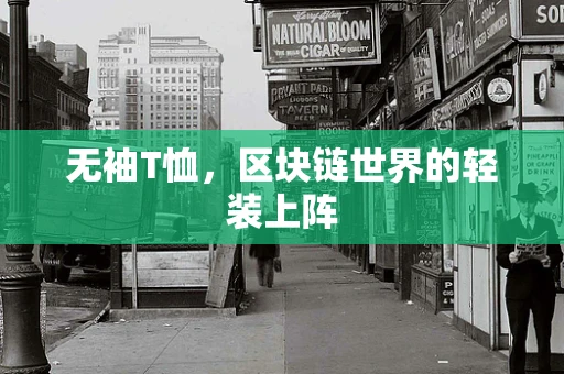 无袖T恤，区块链世界的轻装上阵