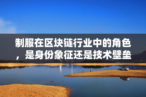 制服在区块链行业中的角色，是身份象征还是技术壁垒？