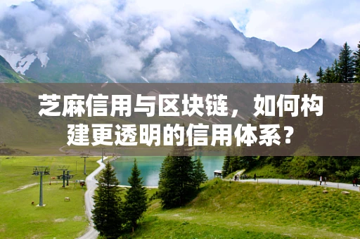 芝麻信用与区块链，如何构建更透明的信用体系？