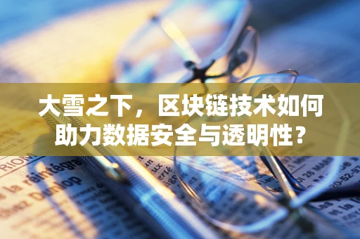 大雪之下，区块链技术如何助力数据安全与透明性？
