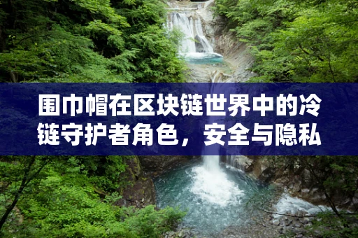 围巾帽在区块链世界中的冷链守护者角色，安全与隐私的双重保障？