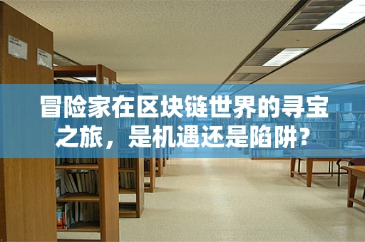 冒险家在区块链世界的寻宝之旅，是机遇还是陷阱？