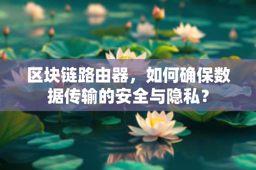 区块链路由器，如何确保数据传输的安全与隐私？