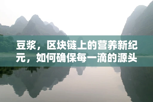 豆浆，区块链上的营养新纪元，如何确保每一滴的源头可追溯？