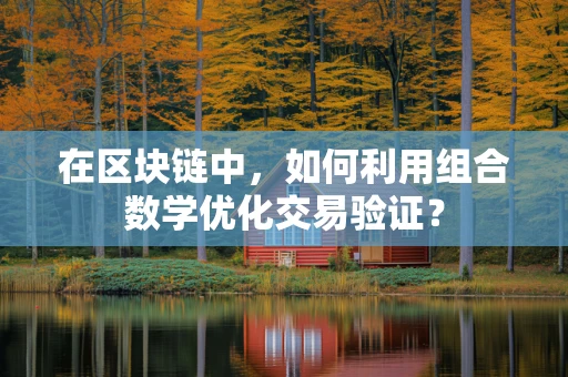 在区块链中，如何利用组合数学优化交易验证？