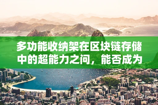 多功能收纳架在区块链存储中的超能力之问，能否成为数字资产的守护者？