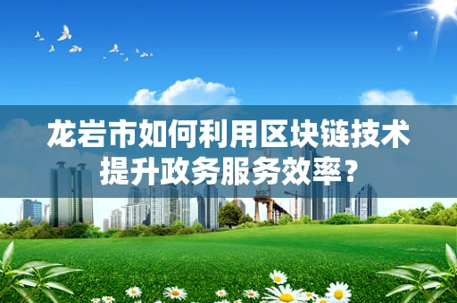 龙岩市如何利用区块链技术提升政务服务效率？