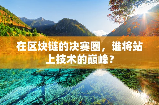 在区块链的决赛圈，谁将站上技术的巅峰？
