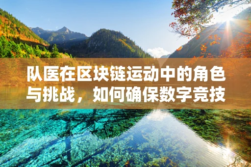 队医在区块链运动中的角色与挑战，如何确保数字竞技的‘健康’？