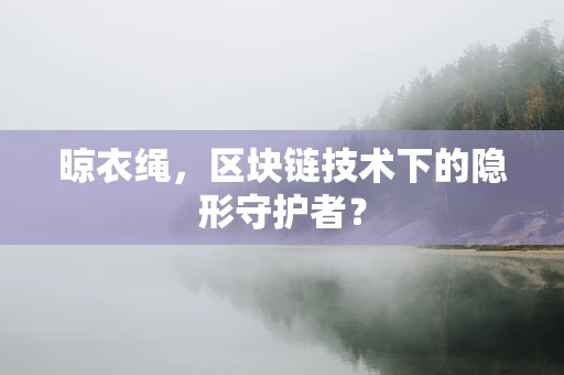 晾衣绳，区块链技术下的隐形守护者？