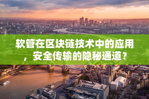 软管在区块链技术中的应用，安全传输的隐秘通道？
